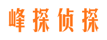 凤凰市调查公司